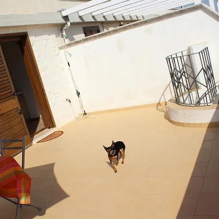 Attico Syria 2/4 P.l Holiday home *